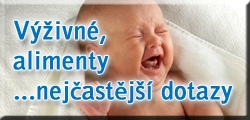 Výživné, alimenty - nejčastější dotazy